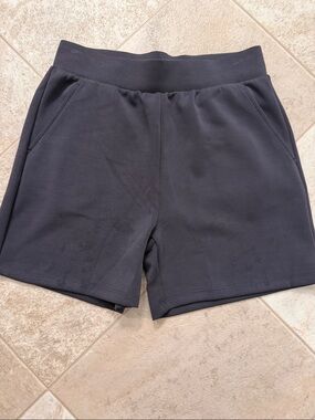 NWOT (fell off) Lazypants Dark Gray Shorts. IYKYK this material! Size Small